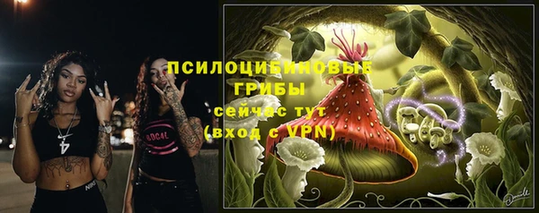 apvp Балахна