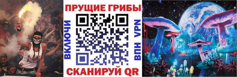 что такое   Тосно  Псилоцибиновые грибы Psilocybine cubensis 